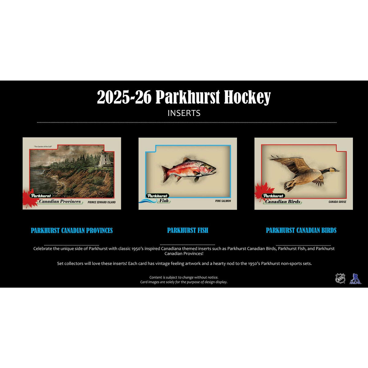 2526parkhursthobbyss-4